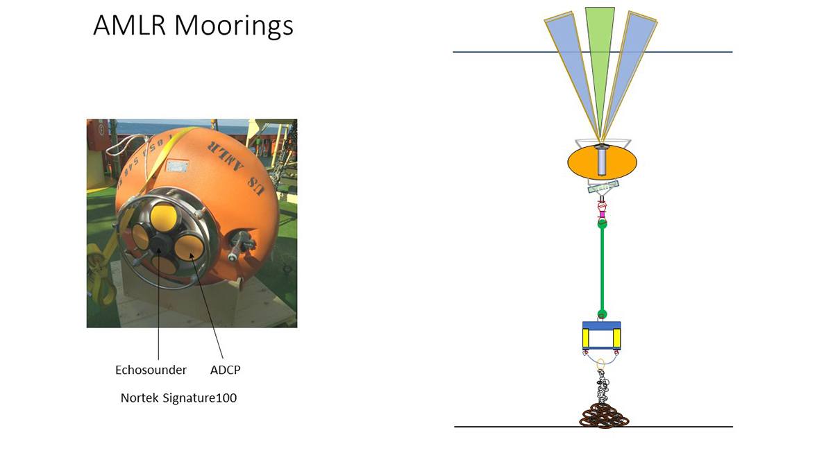 DeepWater Buoyancy ADCP Buoy and Mooring Diagram